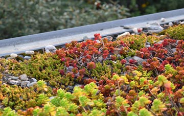 the cost of Morton Common green roof installation