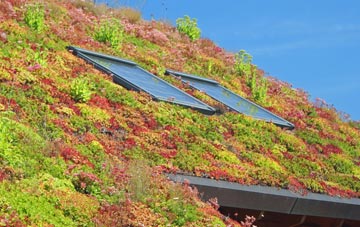 Morton Common living roof systems